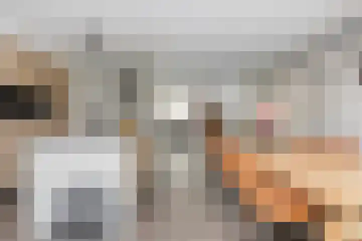 Donkweg 7 Venray thumbnail 11