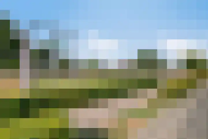 Donkweg 7 Venray thumbnail 41