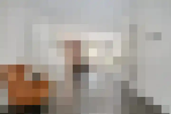 Donkweg 7 Venray thumbnail 6