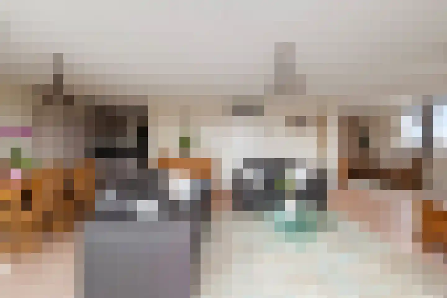 Donnerlaan 95 Naaldwijk thumbnail 11