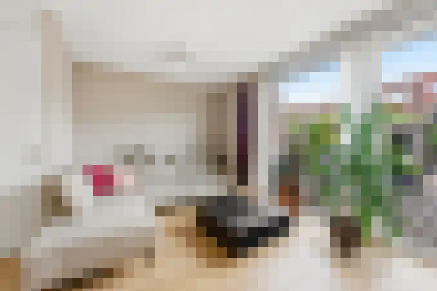 Donnerstraat 12 Rotterdam thumbnail 10