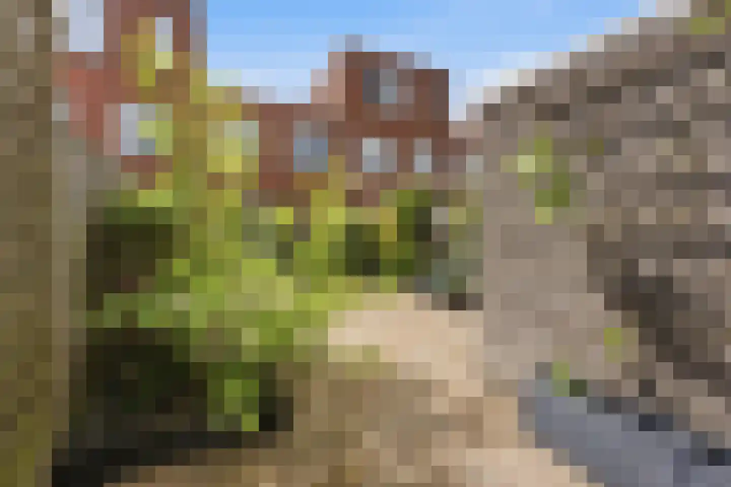 Donnerstraat 12 Rotterdam thumbnail 26