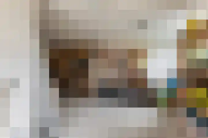 Donselaarsweg 18 Oene thumbnail 13