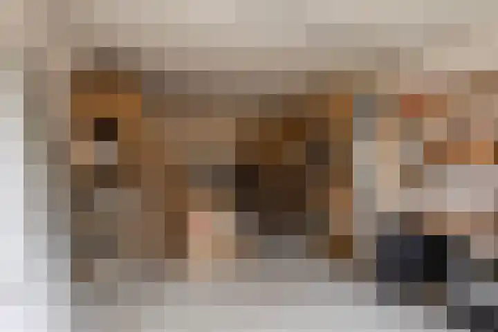 Donselaarsweg 18 Oene thumbnail 14