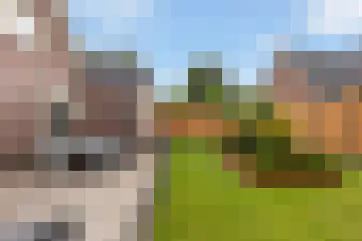Donselaarsweg 18 Oene thumbnail 18