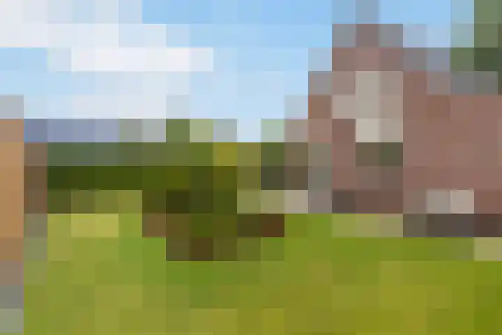 Donselaarsweg 18 Oene thumbnail 19