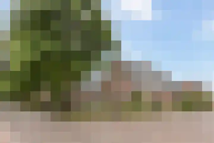Donselaarsweg 18 Oene thumbnail 35