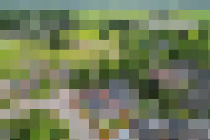 Donselaarsweg 18 Oene thumbnail 36
