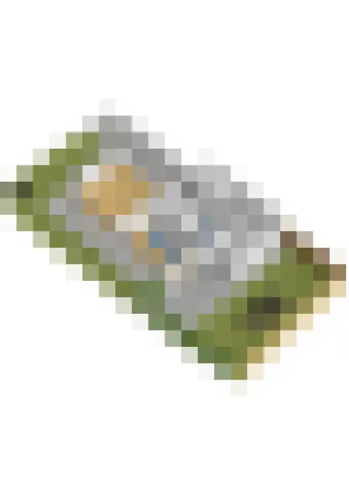 Donselaarsweg 18 Oene thumbnail 43