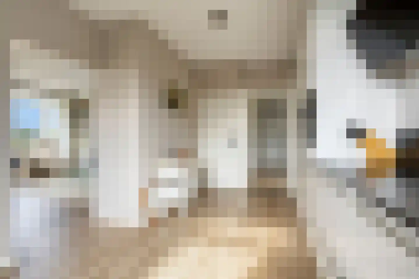 Donselaarsweg 51 Oene thumbnail 11