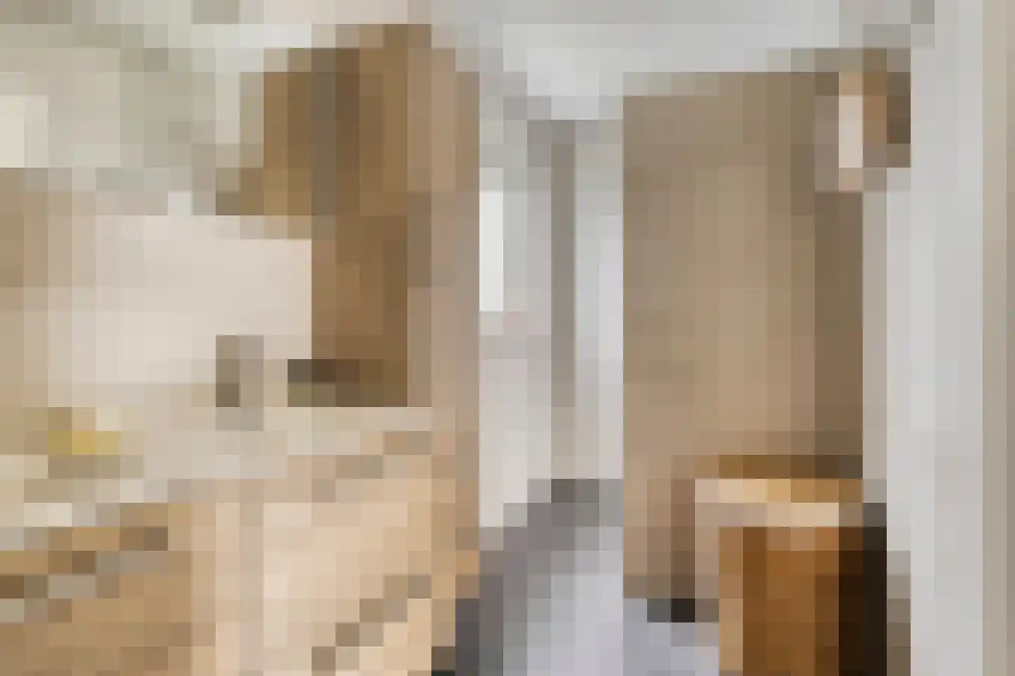 Donselaarsweg 51 Oene thumbnail 13