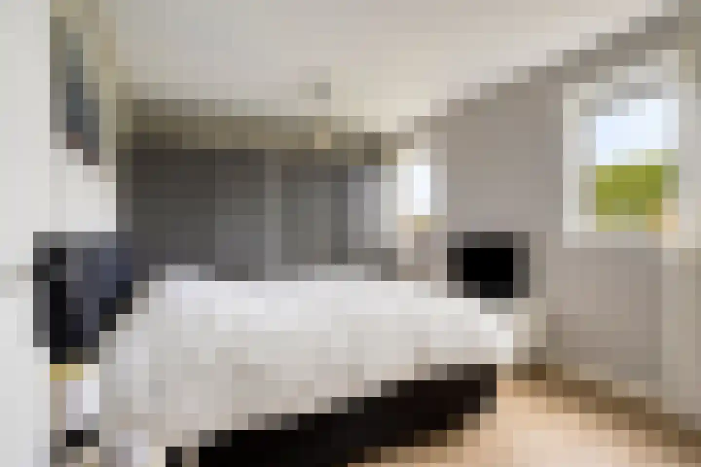 Donselaarsweg 51 Oene thumbnail 15