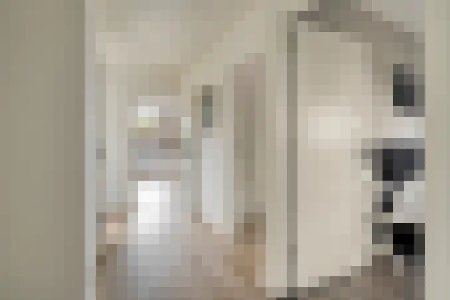 Donselaarsweg 51 Oene thumbnail 18
