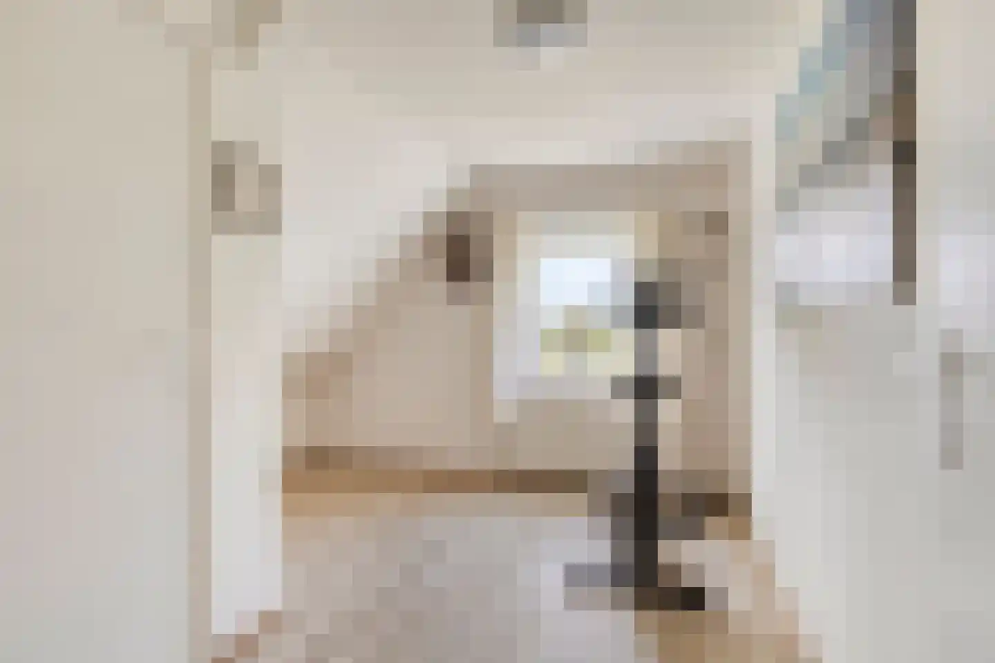Donselaarsweg 51 Oene thumbnail 22
