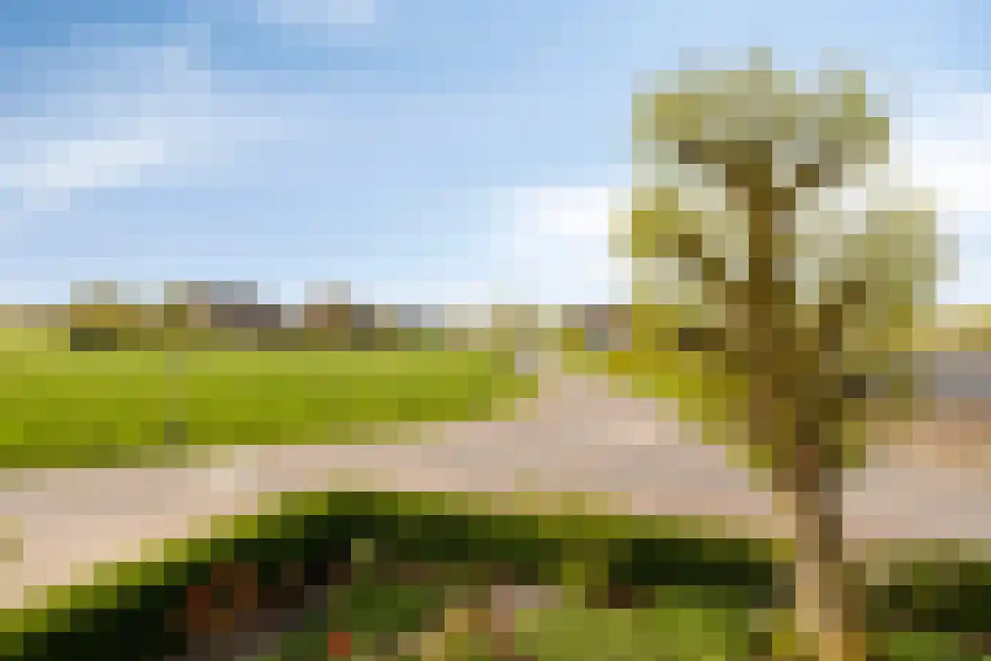 Donselaarsweg 51 Oene thumbnail 25