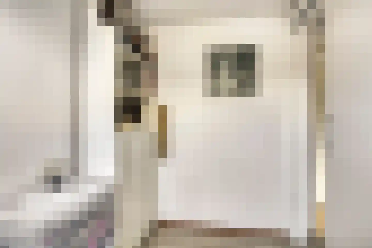 Donselaarsweg 51 Oene thumbnail 30