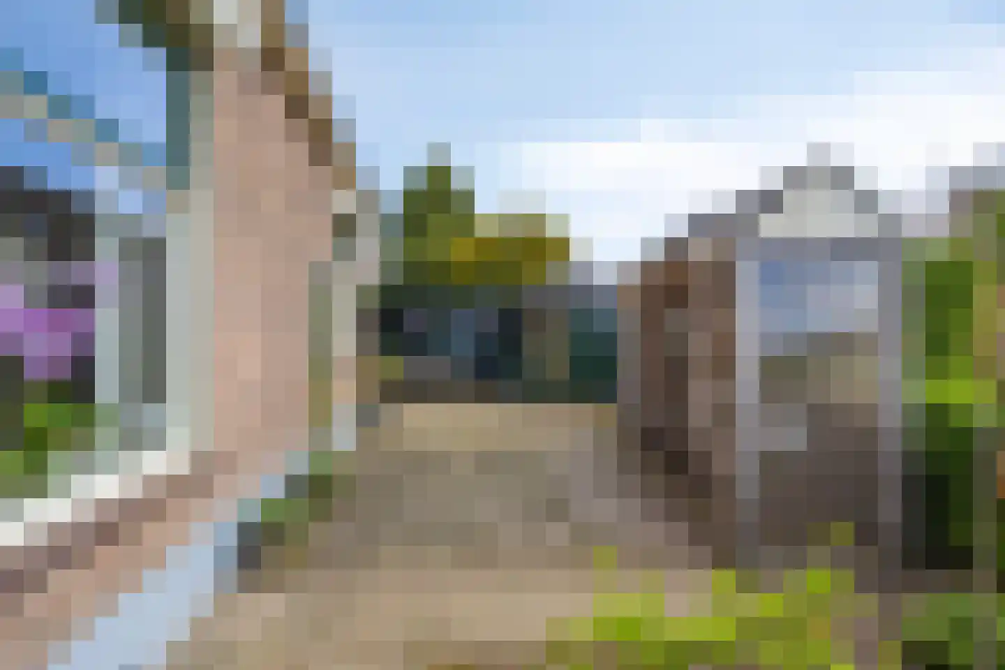 Donselaarsweg 51 Oene thumbnail 35