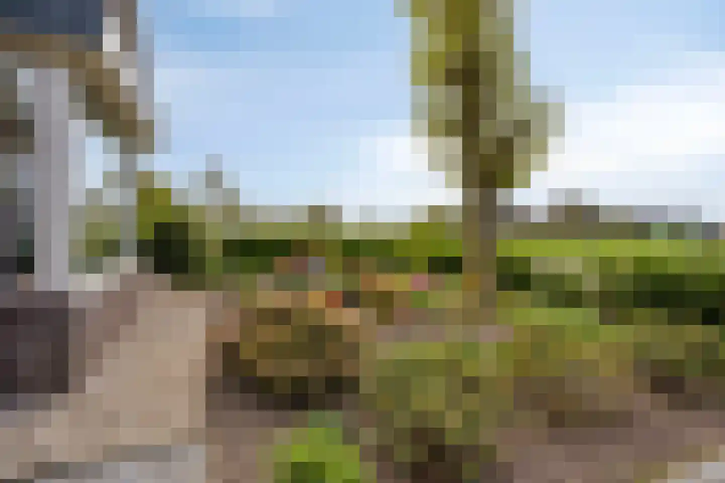 Donselaarsweg 51 Oene thumbnail 39