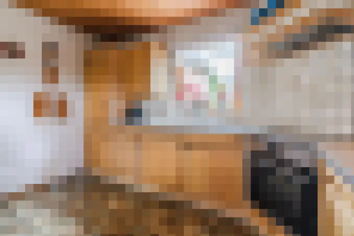 Donselaarsweg 8 Oene thumbnail 10