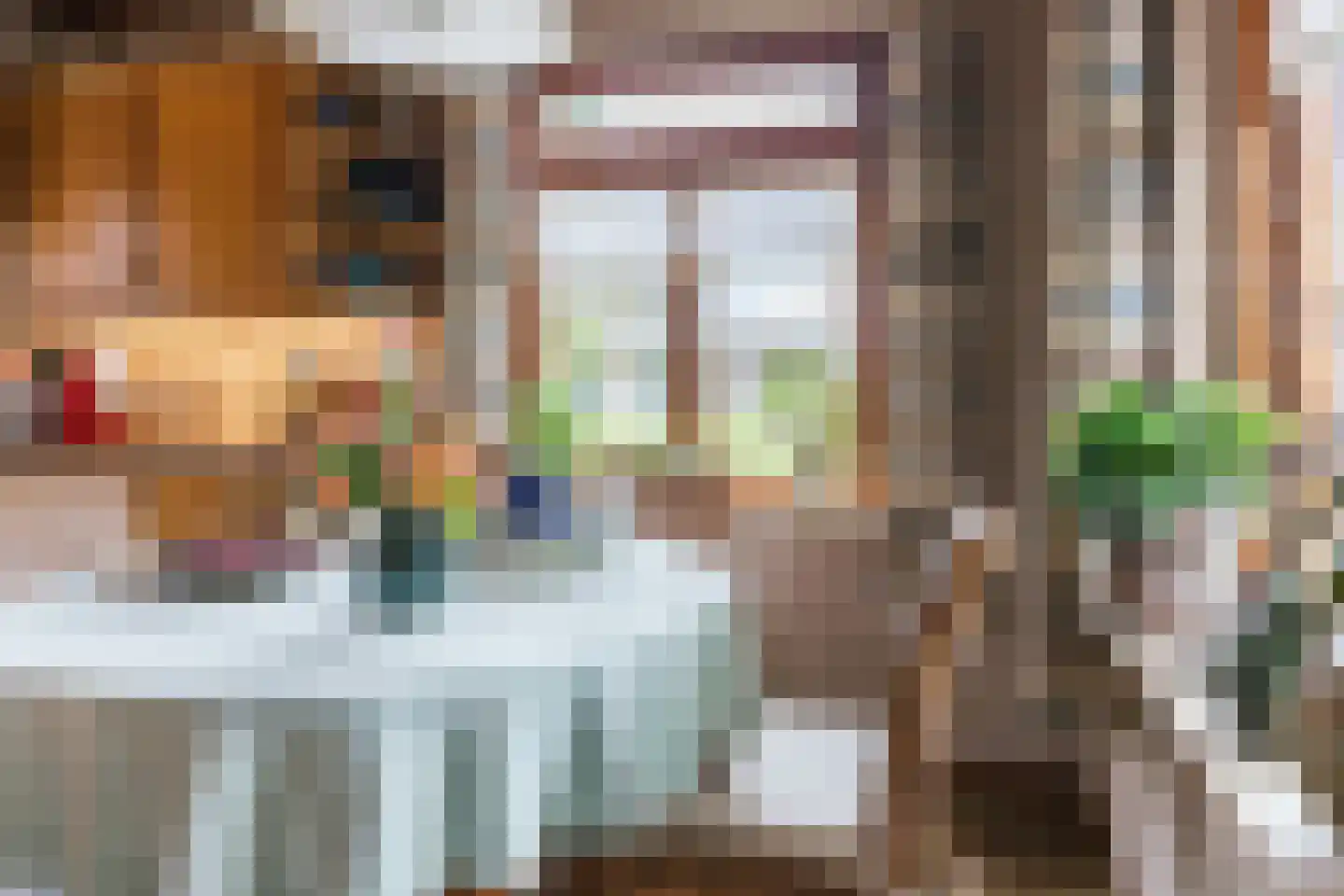 Donselaarsweg 8 Oene thumbnail 12
