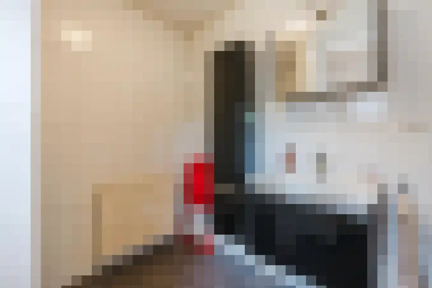 Donselaarsweg 8 Oene thumbnail 16