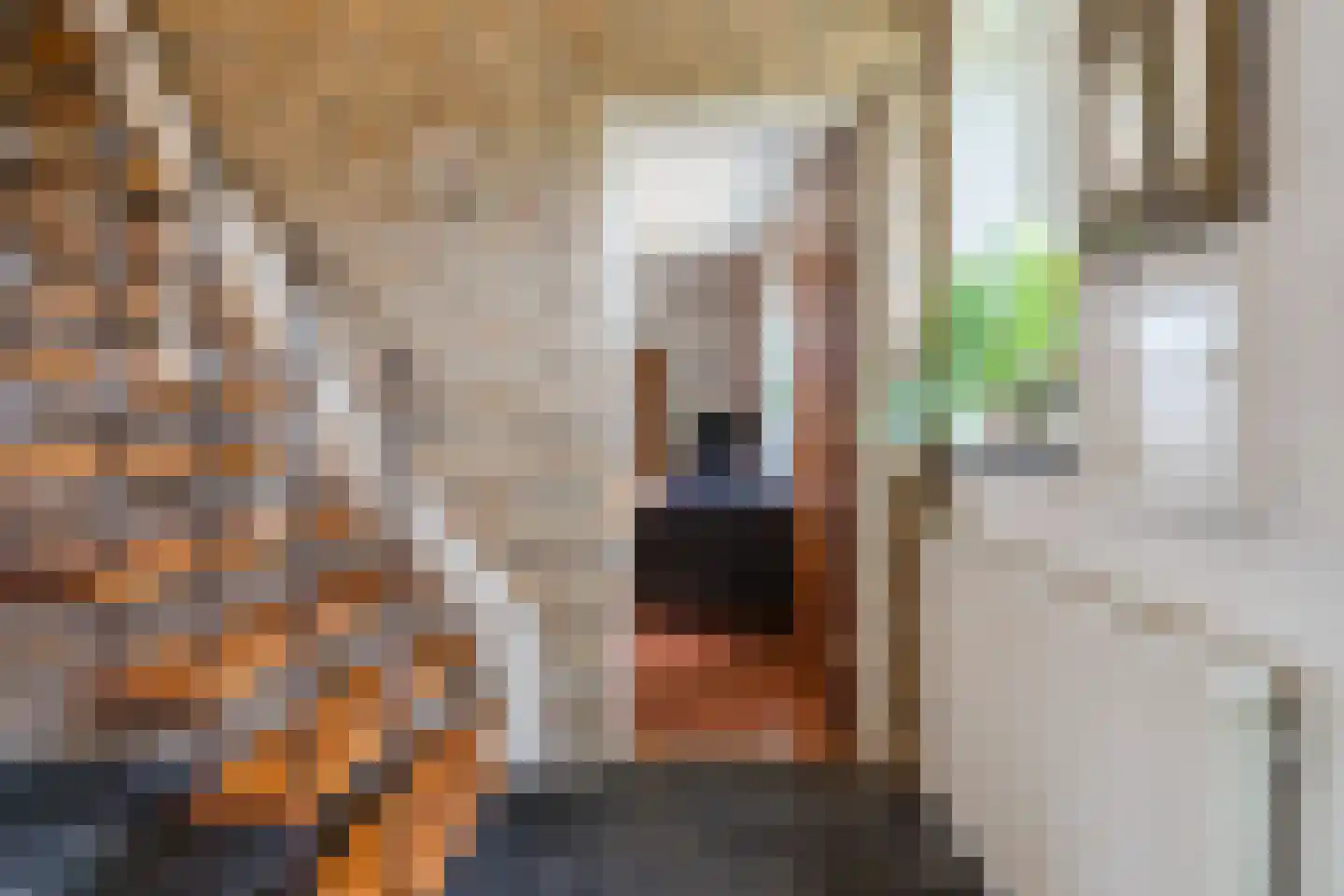 Donselaarsweg 8 Oene thumbnail 19