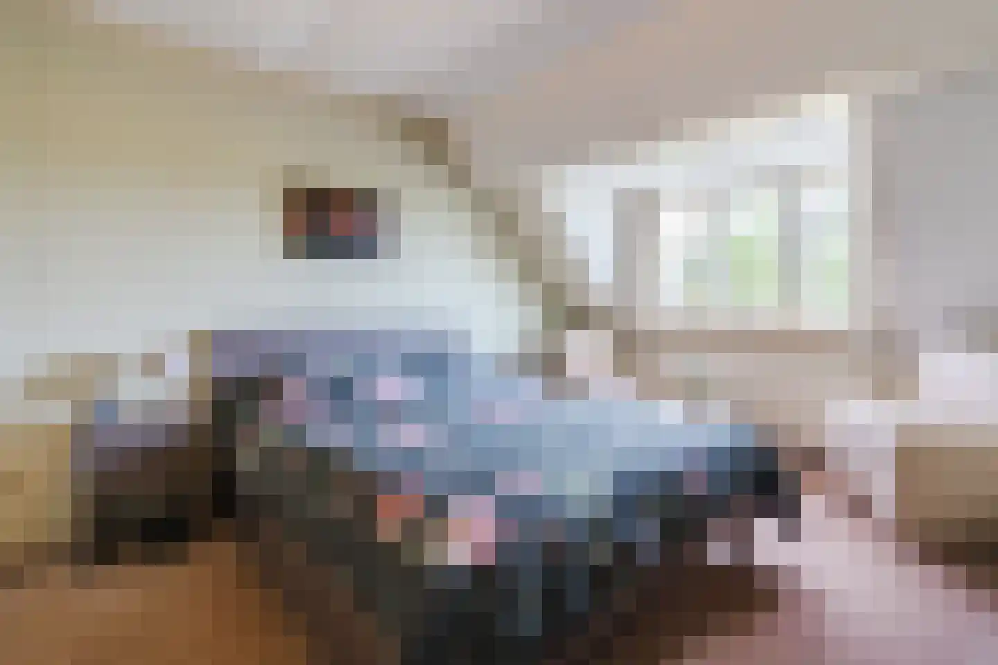 Donselaarsweg 8 Oene thumbnail 25