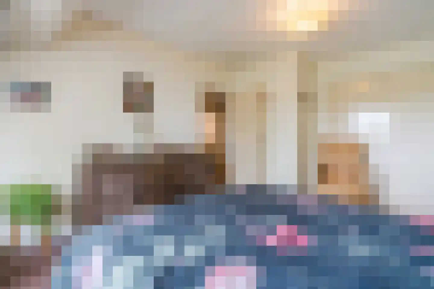 Donselaarsweg 8 Oene thumbnail 27