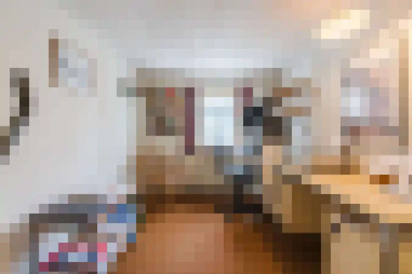 Donselaarsweg 8 Oene thumbnail 30