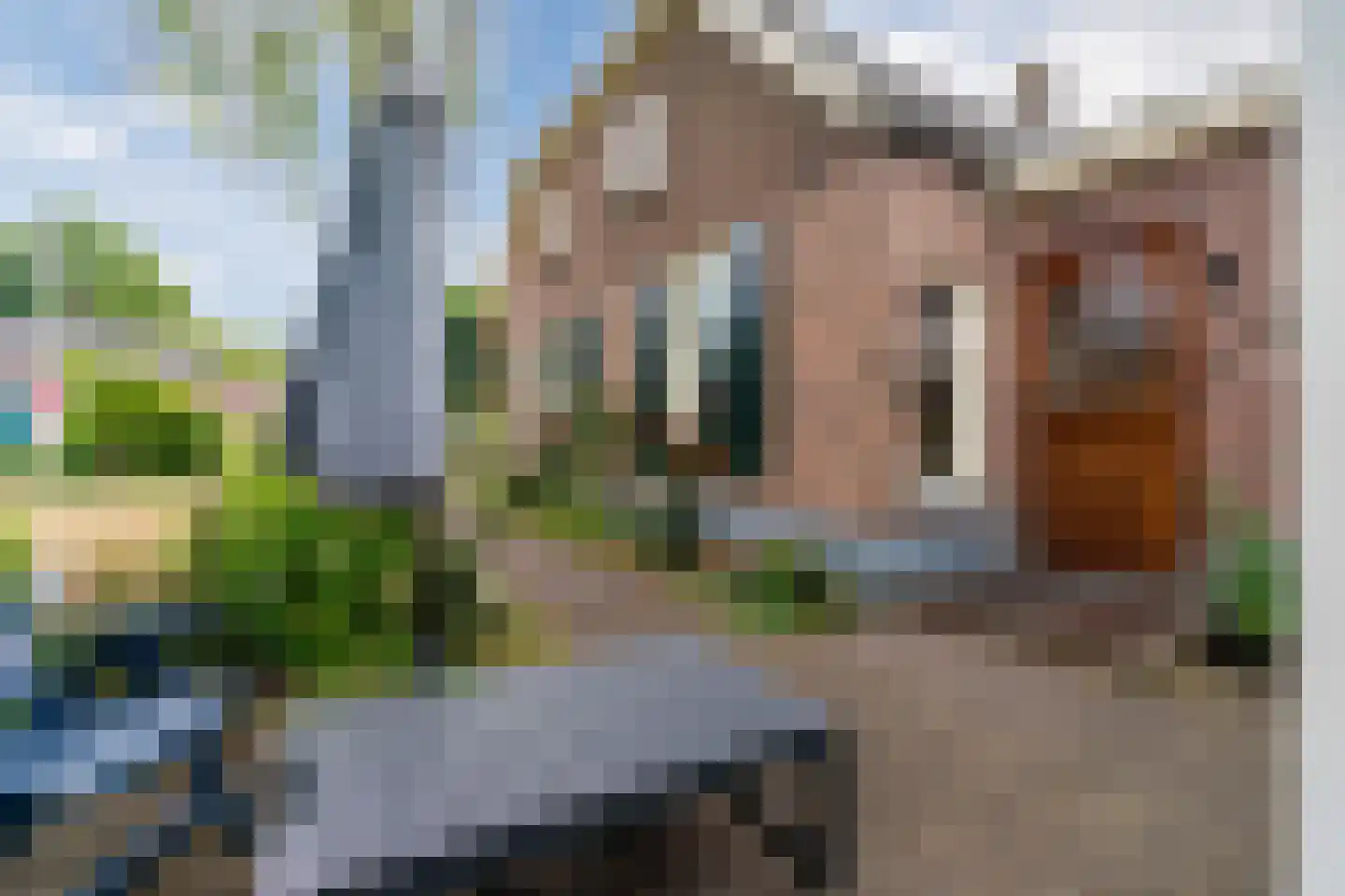 Donselaarsweg 8 Oene thumbnail 34