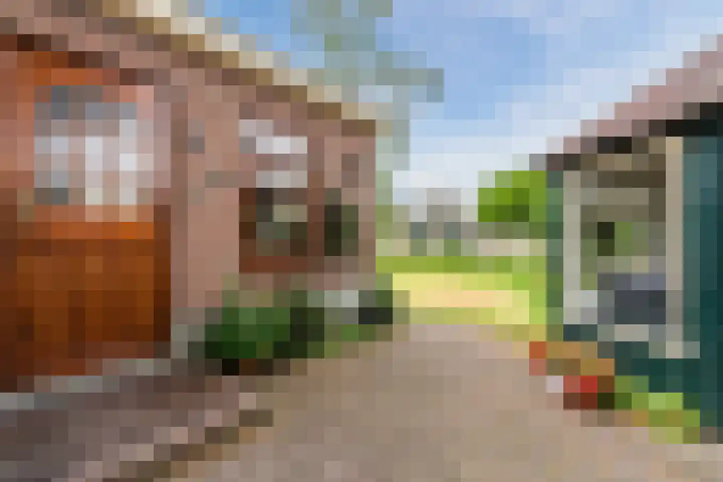 Donselaarsweg 8 Oene thumbnail 35