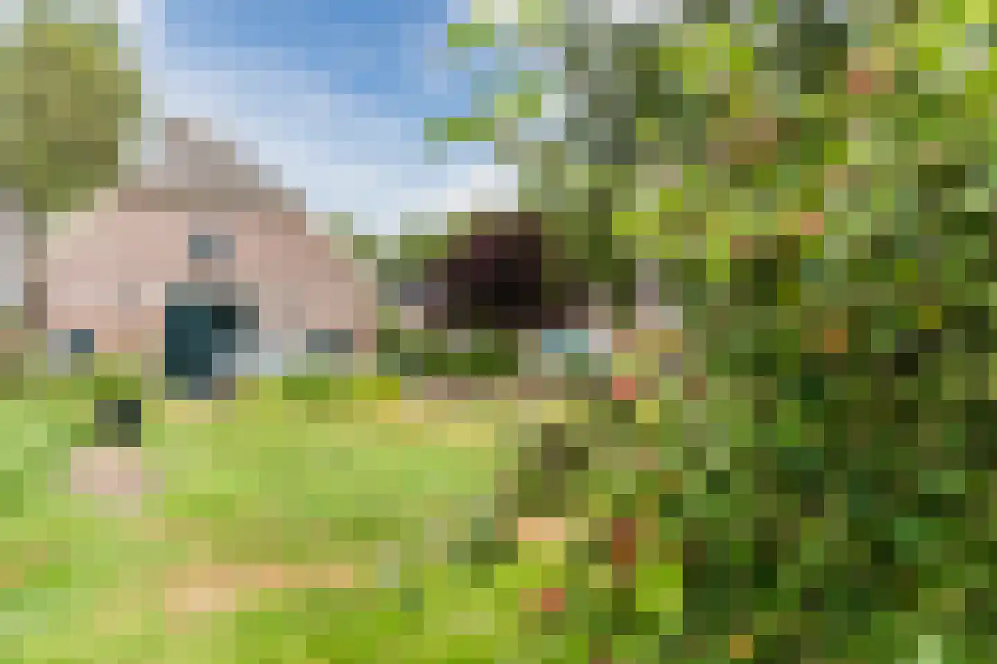 Donselaarsweg 8 Oene thumbnail 40