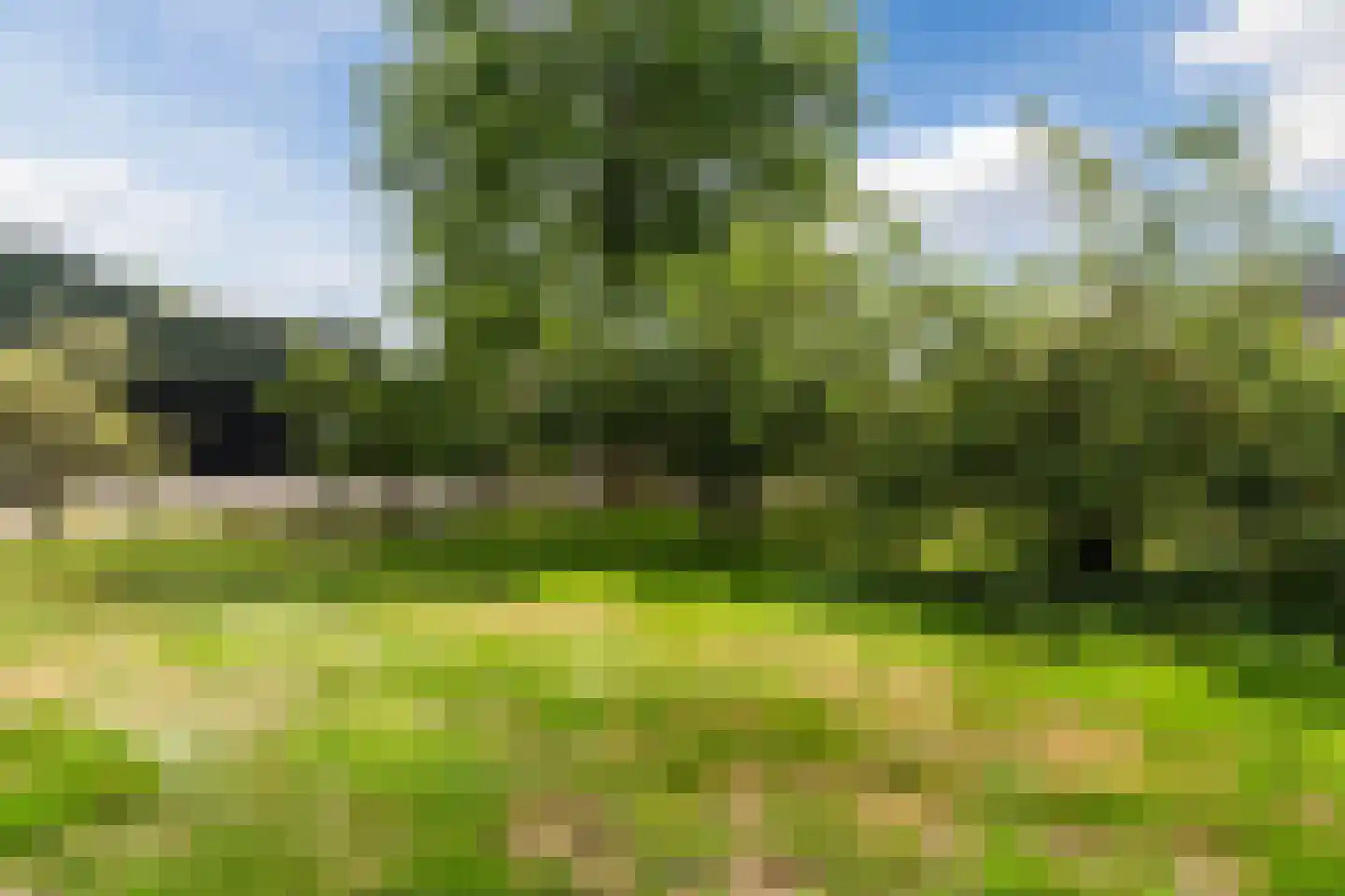Donselaarsweg 8 Oene thumbnail 41