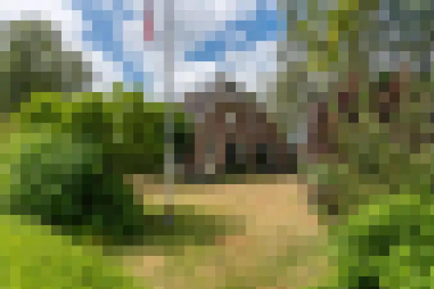 Donselaarsweg 8 Oene thumbnail 43