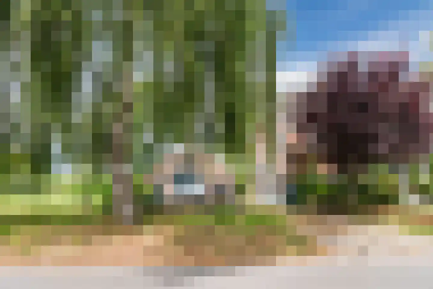 Donselaarsweg 8 Oene thumbnail 46