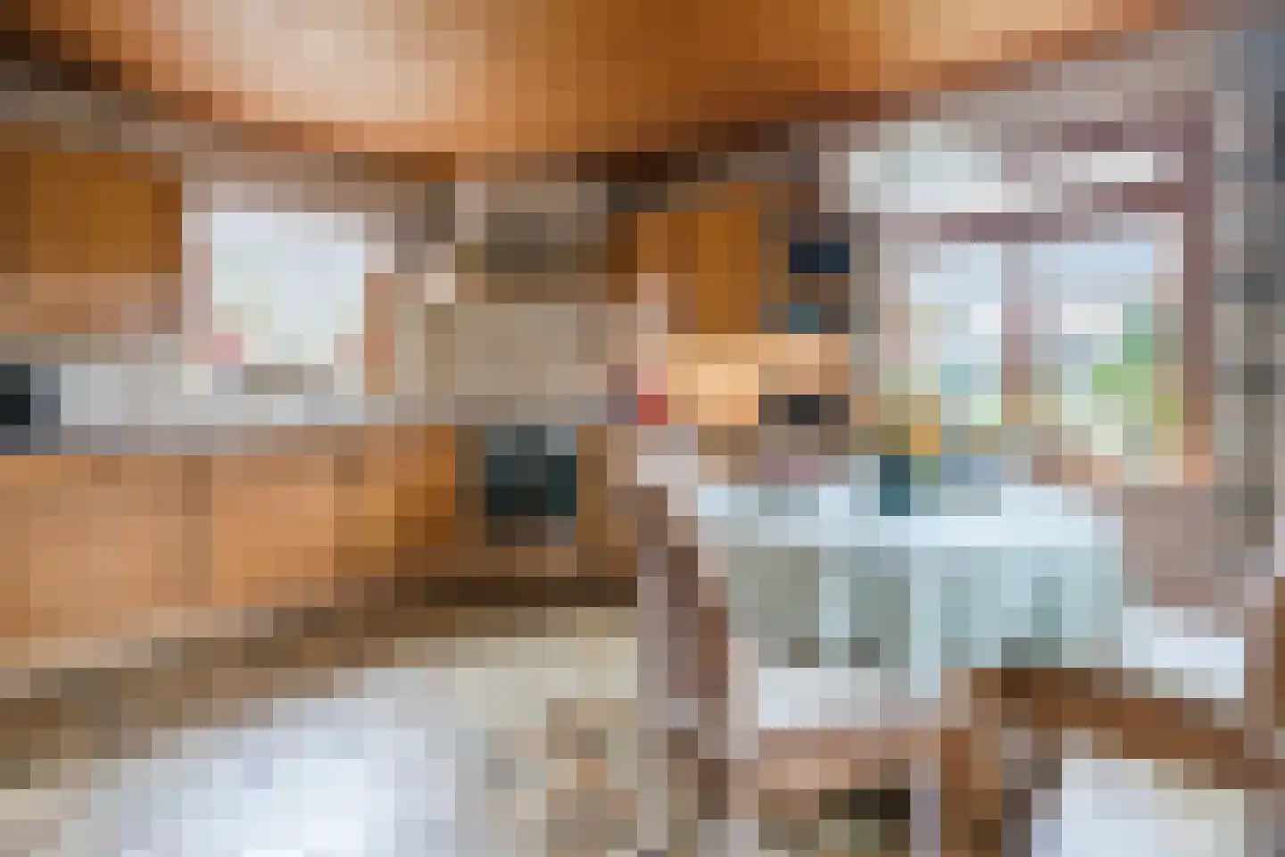 Donselaarsweg 8 Oene thumbnail 9