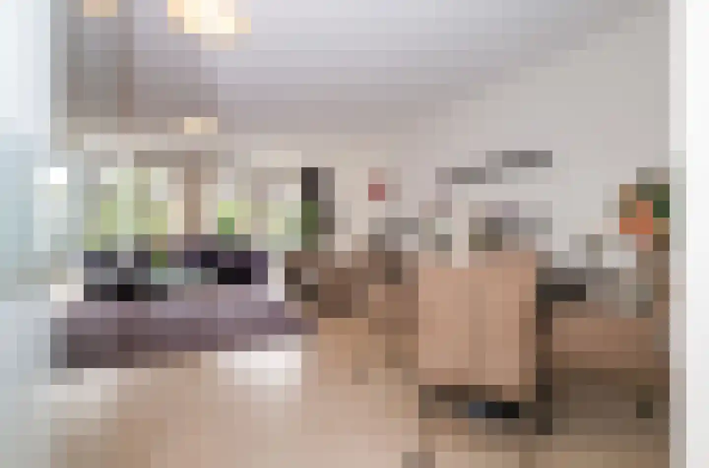 Donselaer 10 Oostvoorne thumbnail 19