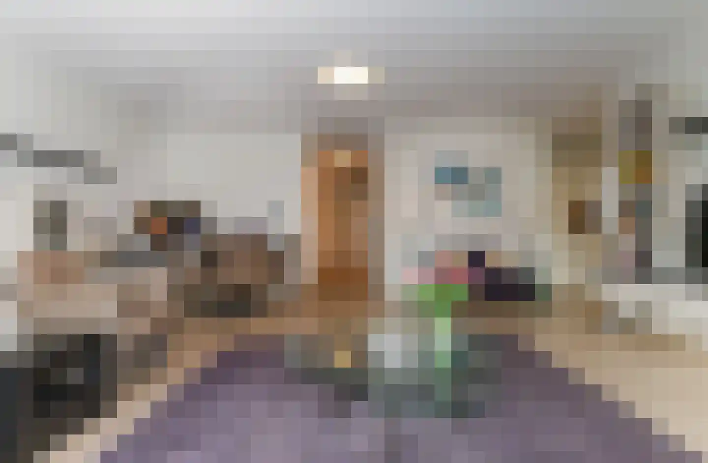 Donselaer 10 Oostvoorne thumbnail 25