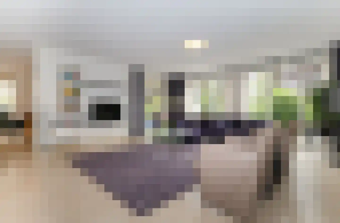 Donselaer 10 Oostvoorne thumbnail 26