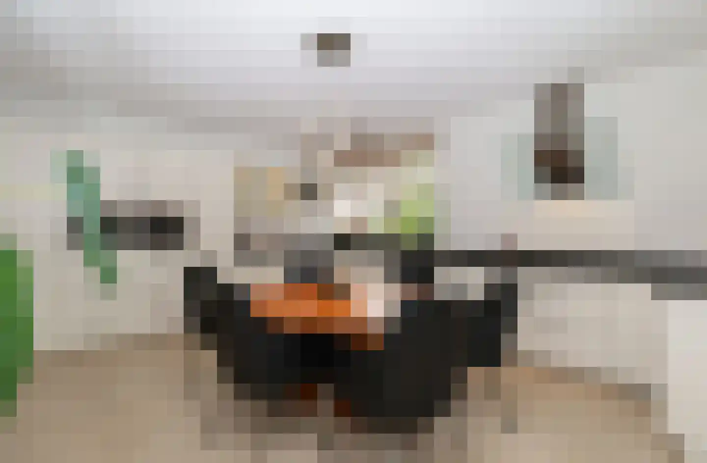 Donselaer 10 Oostvoorne thumbnail 28