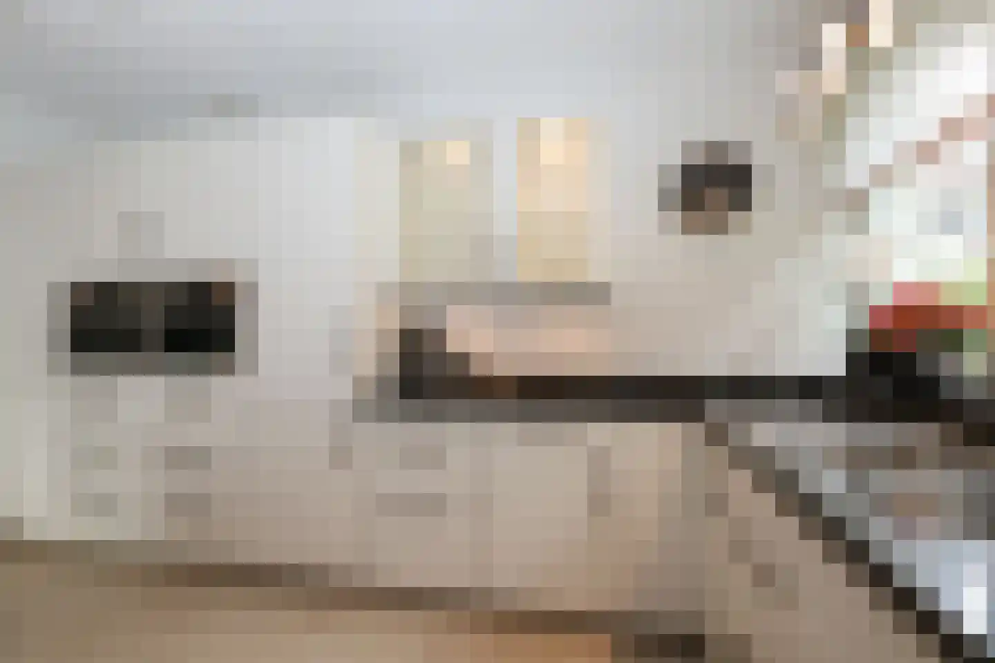 Donselaer 10 Oostvoorne thumbnail 30