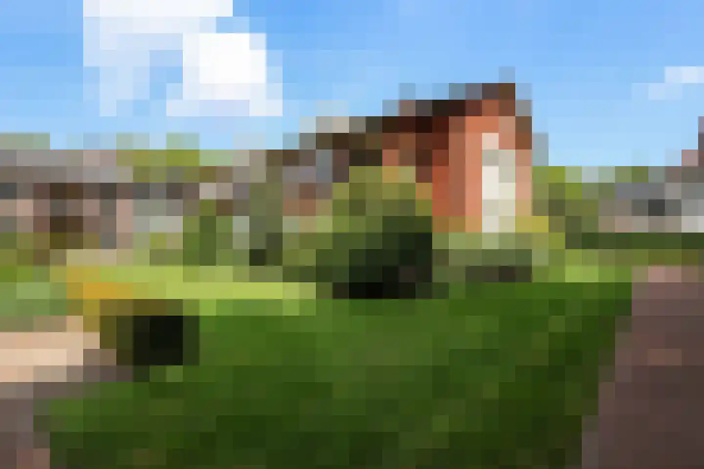 Donselaer 10 Oostvoorne thumbnail 52