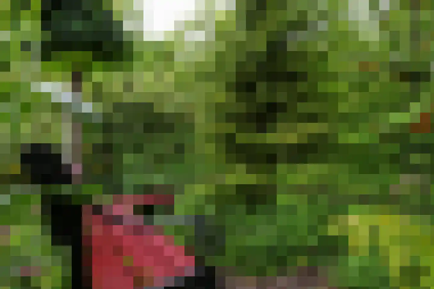Donselaer 10 Oostvoorne thumbnail 60