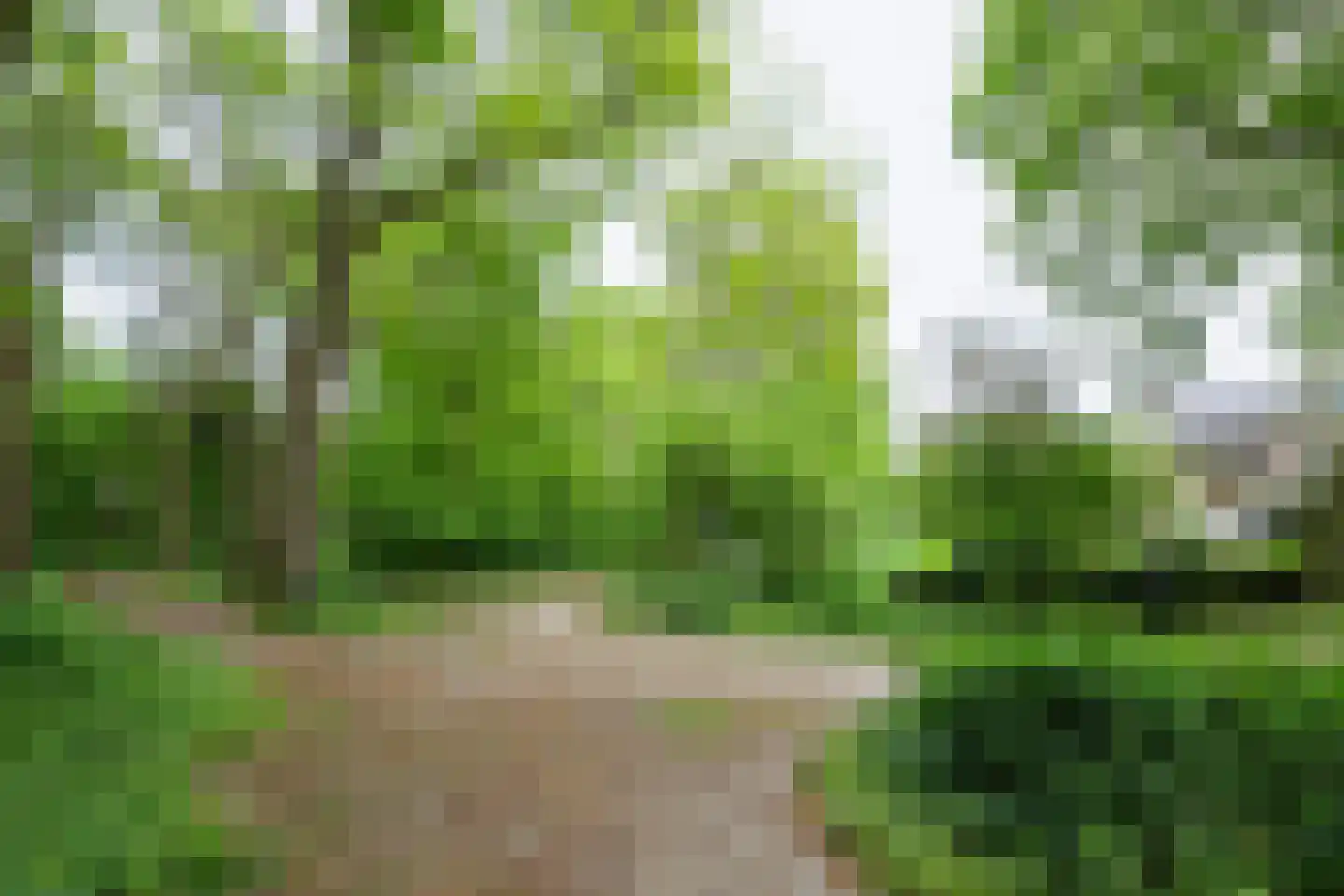 Donselaer 10 Oostvoorne thumbnail 61