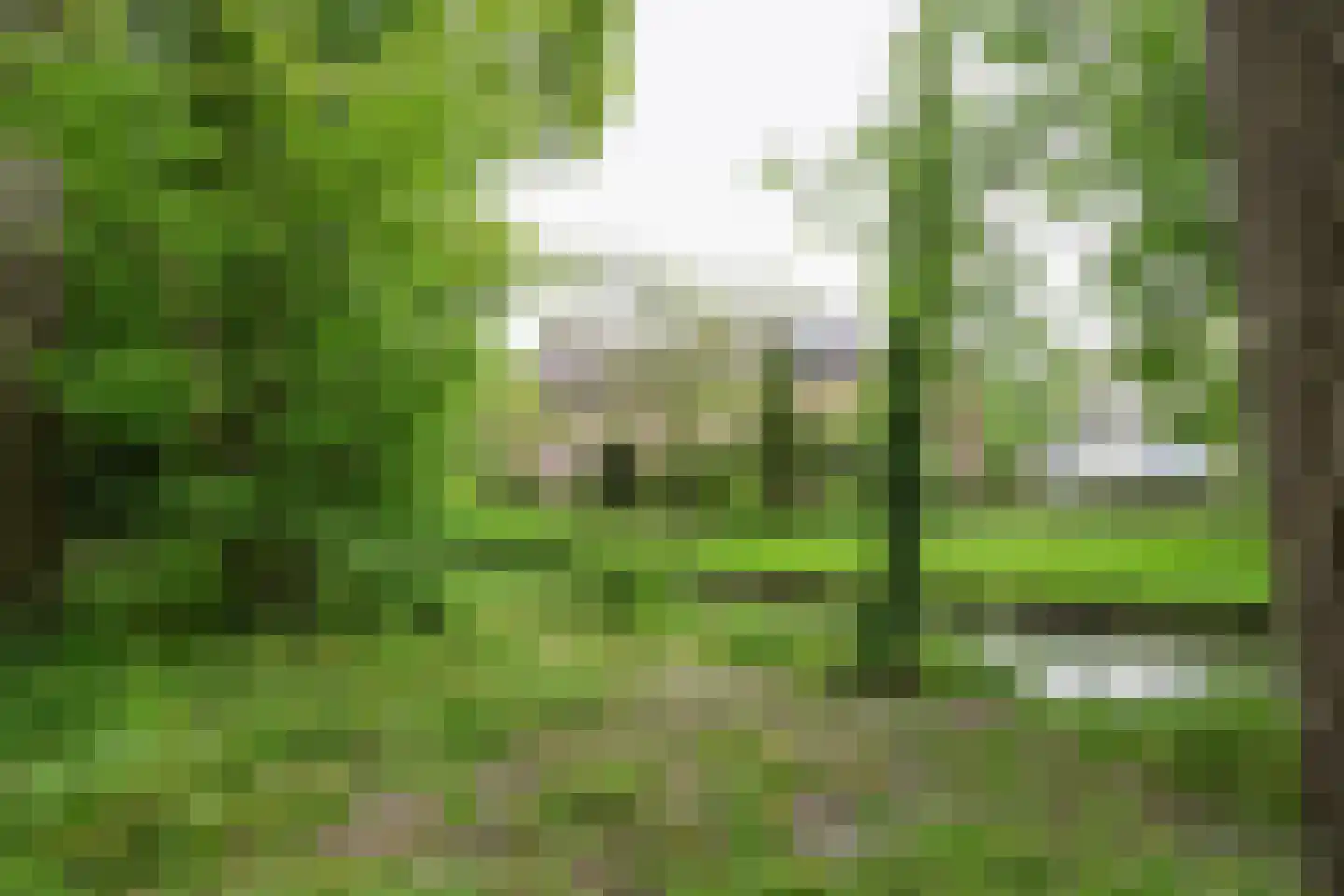 Donselaer 10 Oostvoorne thumbnail 62