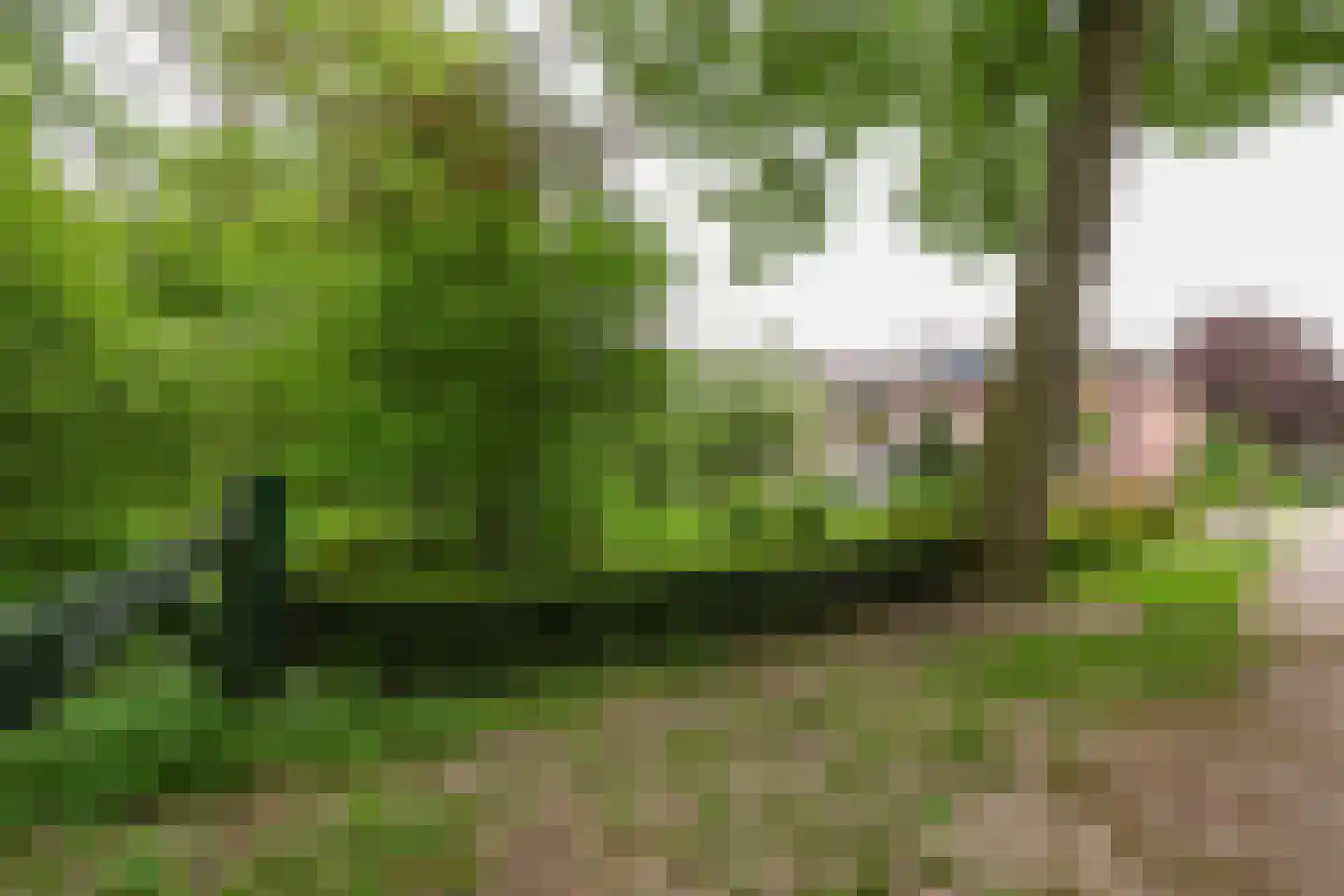 Donselaer 10 Oostvoorne thumbnail 63