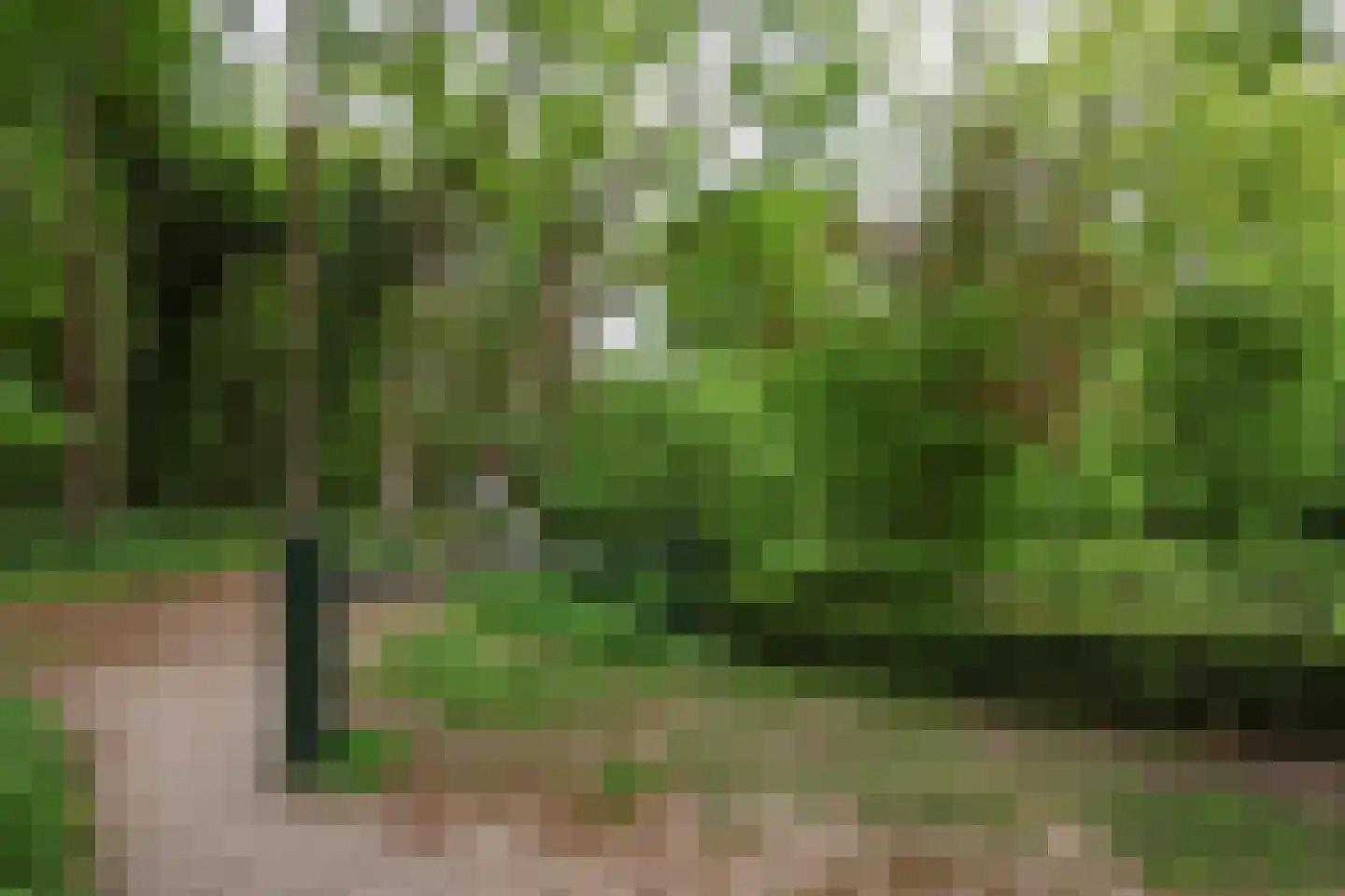 Donselaer 10 Oostvoorne thumbnail 64
