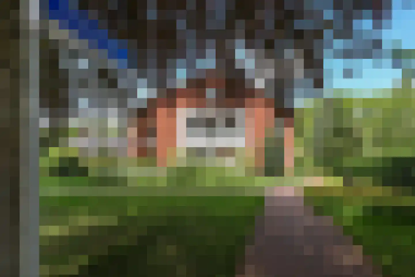Donselaer 10 Oostvoorne thumbnail 7