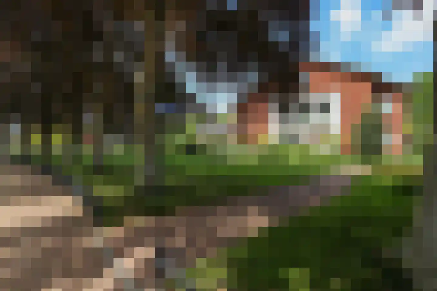 Donselaer 10 Oostvoorne thumbnail 8