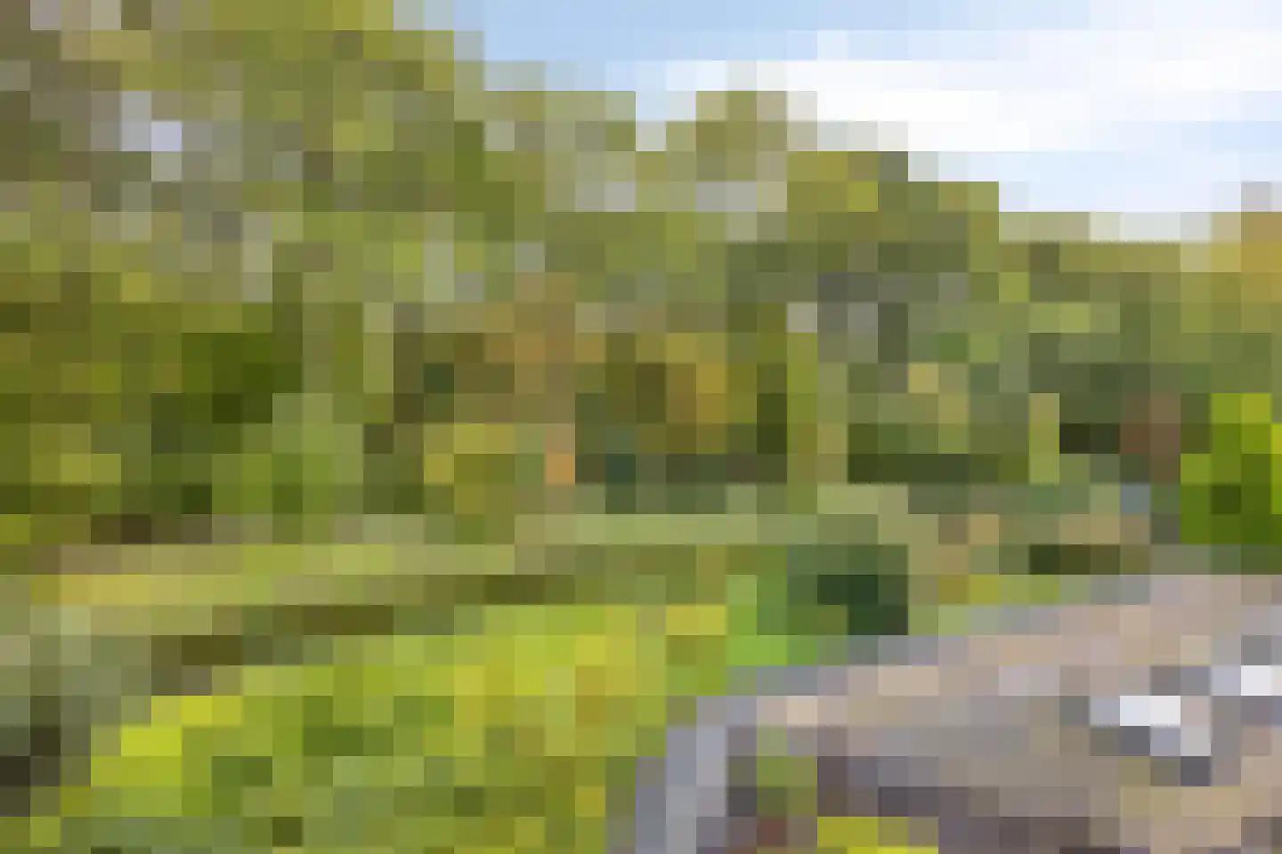 Donselaer 17 Oostvoorne thumbnail 49